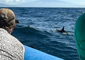 Maui Eco-Raft: 2 Hour Dolphin Watch Sightsee Tour (Semi-Private)