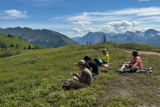 Private Guide: Palmer's Hidden Waterfalls, Full Day Hike