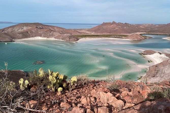 La Paz: Balandra Mirador Hike — Desert Meets the Sea