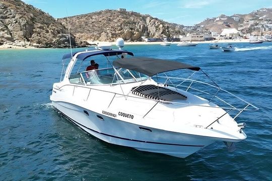 Your Own Private Yacht in Cabo – Snorkeling, Crew & Coastal Views
