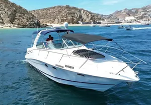 Your Own Private Yacht in Cabo – Snorkeling, Crew & Coastal Views