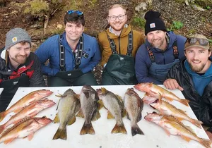 Ketchikan Alaska Fishing and Wilderness Dining