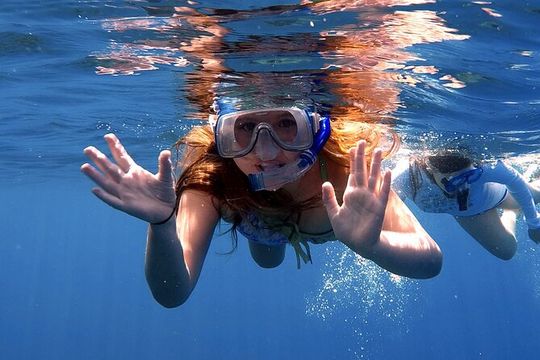 Lana'i Snorkel And Dolphin Quest with Maui Turtle Spot Tour