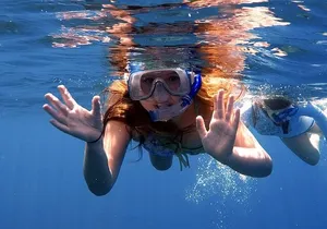 Lana'i Snorkel And Dolphin Quest with Maui Turtle Spot Tour