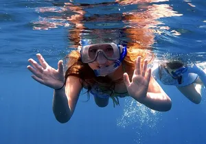 Lana'i Snorkel And Dolphin Quest with Maui Turtle Spot Tour