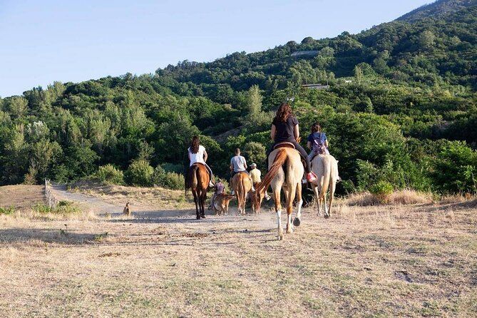 Shared Tour Pompeii Excavations And Horseback Riding And Lunch