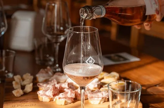 Vineyard and cellar tour with 5-wine tasting near Lake Garda