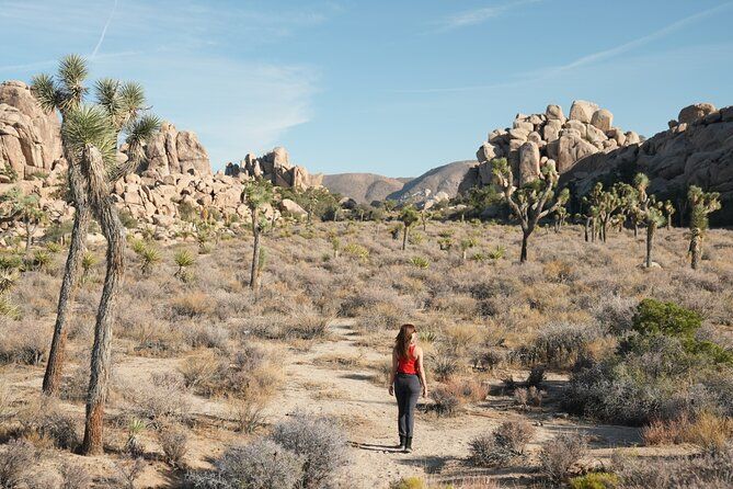 1-day Private Tour to Joshua Tree National Park from Los Angeles