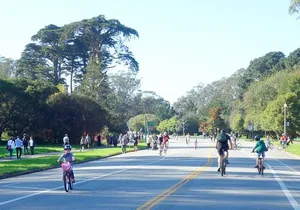 Summer of Love San Francisco Guided eBike Tour Golden Gate Park