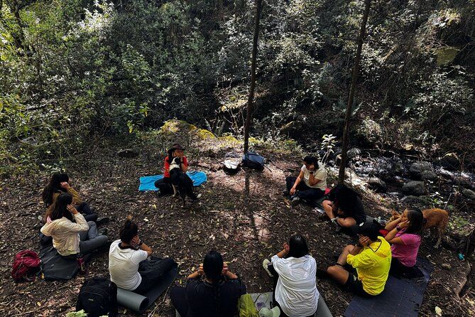 Immerse in the Nature: Deep Connection through Forest Bathing