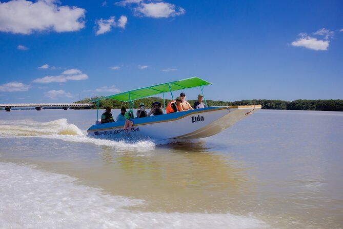 Celestun boat, flamingos and beach