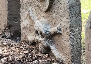 Unexpected Wall Street Walking Tour