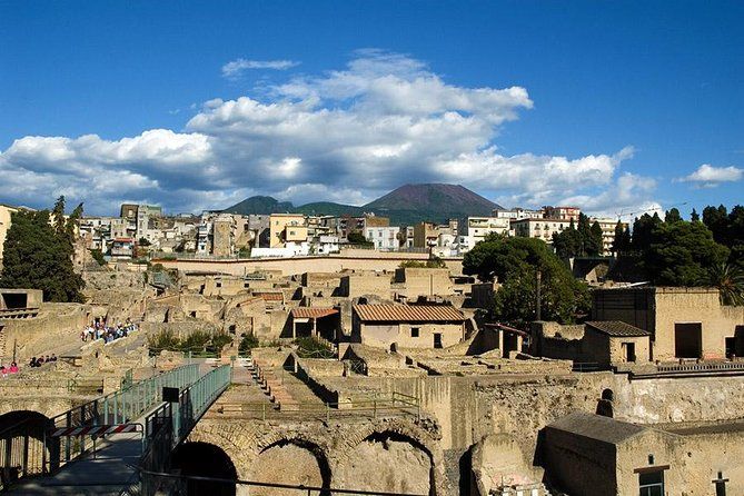 Herculaneum Half day by minibus