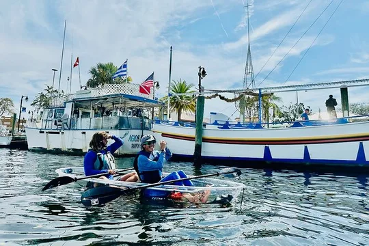Clear Kayak Tour of Tarpon Springs Sponge Docks & Mangroves