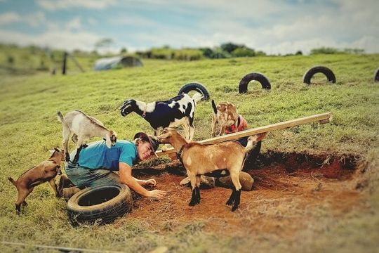 Kauai Private Baby Farm Animal Experience & Micro Dairy Immersion