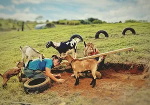 Kauai Private Baby Farm Animal Experience & Micro Dairy Immersion