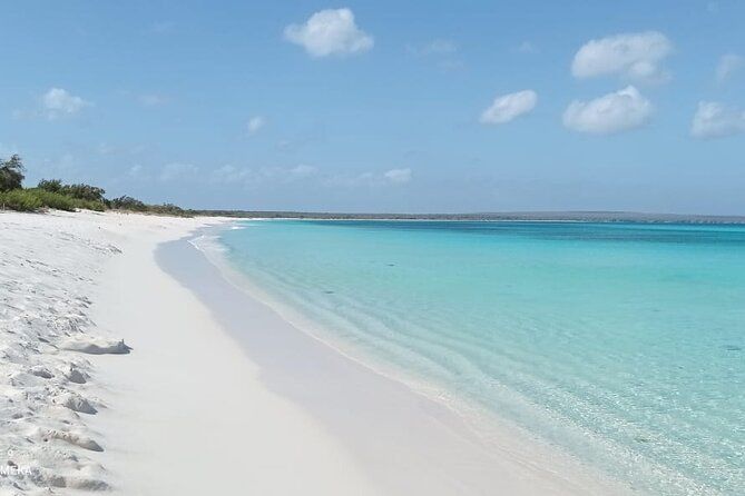 7 Day Private Tour in Dominican Republic
