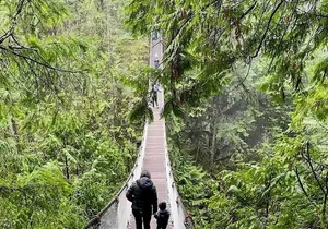 Private Tour of Lynn Canyon Suspension Bridge