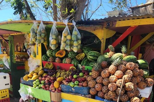 Jamaican Street Food and Rum Tasting Private Tour