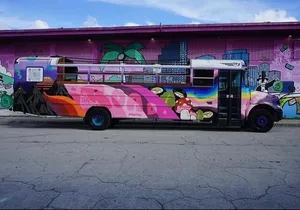 Miami Vibes 2 Hour Party Bus