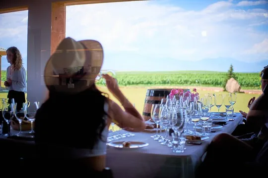 Vineyard Tour and Fine Wine Tasting Experience in Ararat Valley