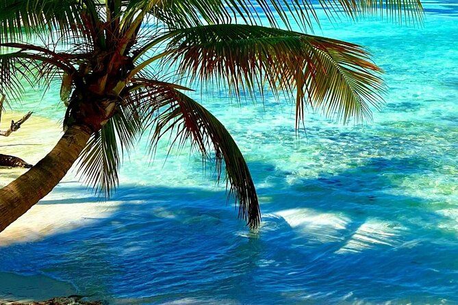 Catalina Island Tour Package Deal, from Punta Cana