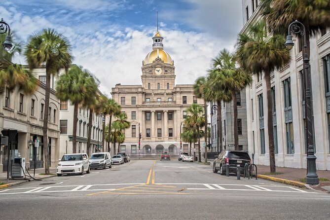 Lights, Camera, Savannah!