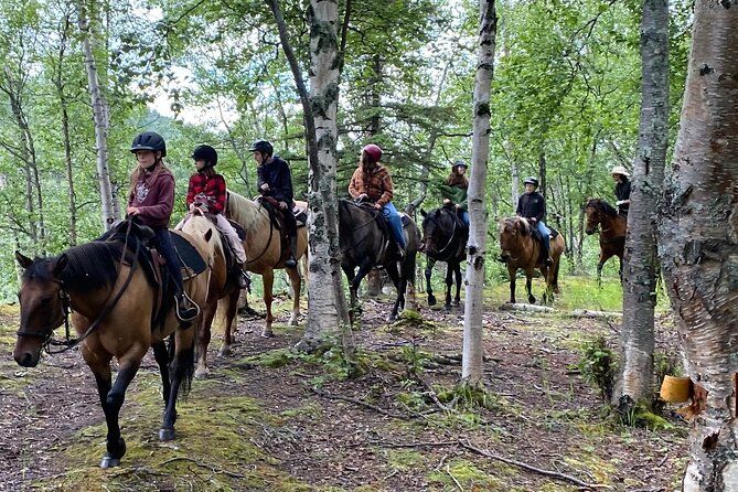 1.5 Hour Trail Ride on a working ranch in the Alaskan Mountains