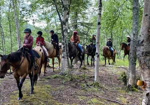 One and Half Hour Trail Ride at The Base of Chugach Mountains