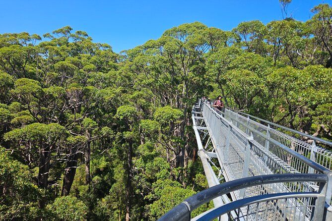 Private 2-Day Tour; Busselton Jetty, Ngilgi Cave & Tree Top Walk