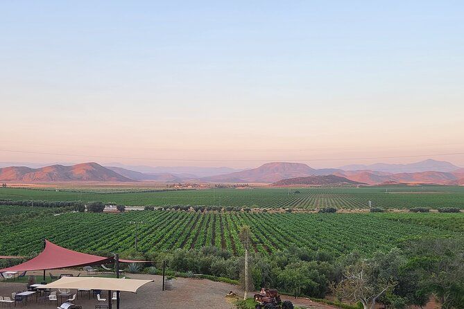 Private Valle Wine Tour: All Wine Tastings Included