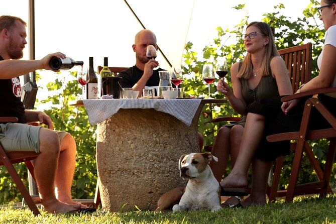 Private Wine Tastings in Sentjernej Slovenia