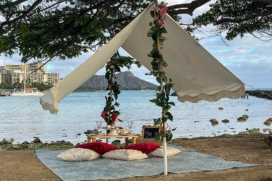 Luxury Picnic in Honolulu with Ocean & Crater Views