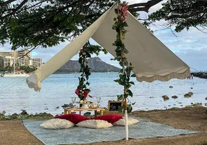 Luxury Picnic in Honolulu with Ocean & Crater Views