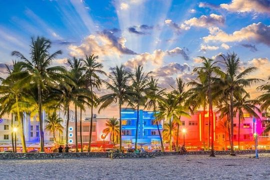 Full Day City Tour! The Best Way to See Miami in One Day 6h Tour!