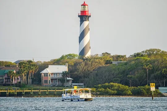 Dolphin and Wildlife History Tour