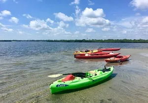 Kayak Dolphin Eco Tour