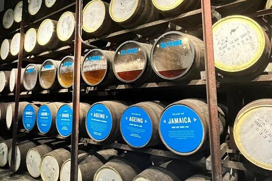 Appleton Estate Rum Tasting and YS Falls