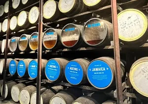 Appleton Estate Rum Tasting and YS Falls