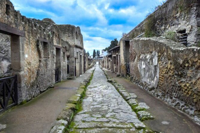 Pompeii Ruins and or Herculaneum and Vesuvius Private Tour