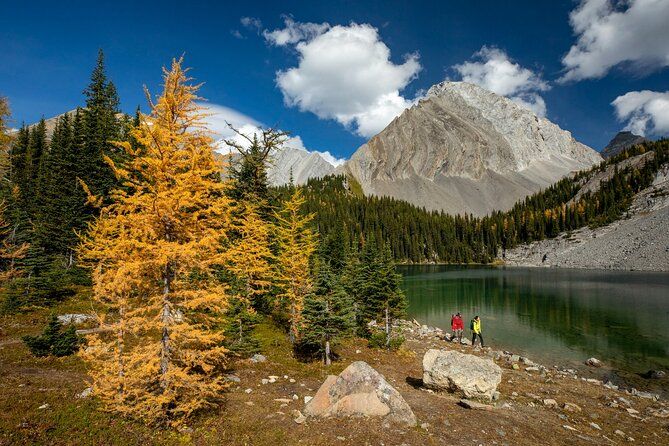 EXPLORE Canmore's HIDDEN Trails and Local Landmarks - 3H Hike