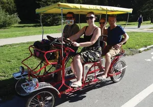 San Francisco: Scenic Surrey Ride Through Golden Gate Park
