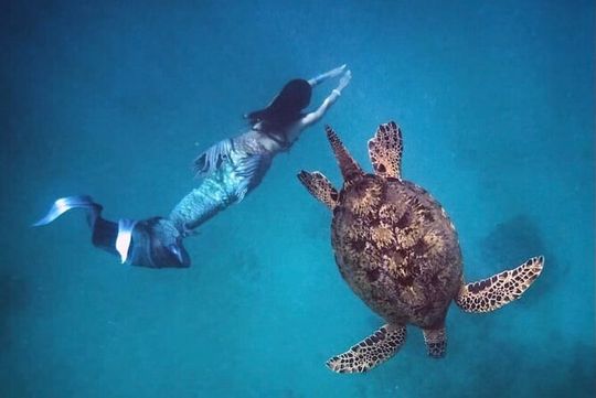 Moana’s Deluxe Breakfast Snorkel & Sail Adventure