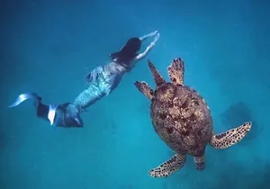 Moana's Waikīkī Sunrise Snorkel Experience on Nalu