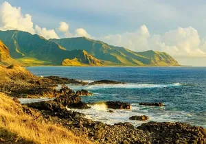 Private North Shore Hawaiian outrigger Canoe and turtle adventure