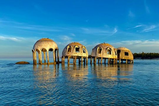 Ten Thousand Islands Eco/Dolphin Tour