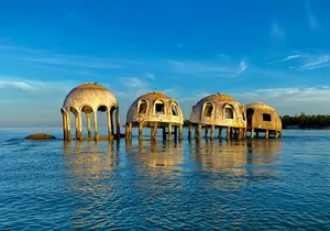 Ten Thousand Islands Eco/Dolphin Tour