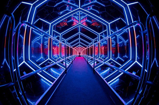 AMAZE by ID&T: Multi-Sensory Immersive Spectacle