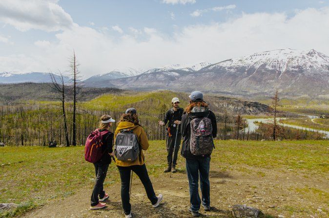 4 KM Wildfire Hike with Lunch in Jasper National Park