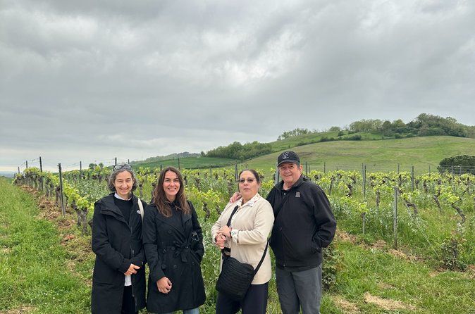Gaillac Wine Tour Small Group Half Day Tour From Toulouse